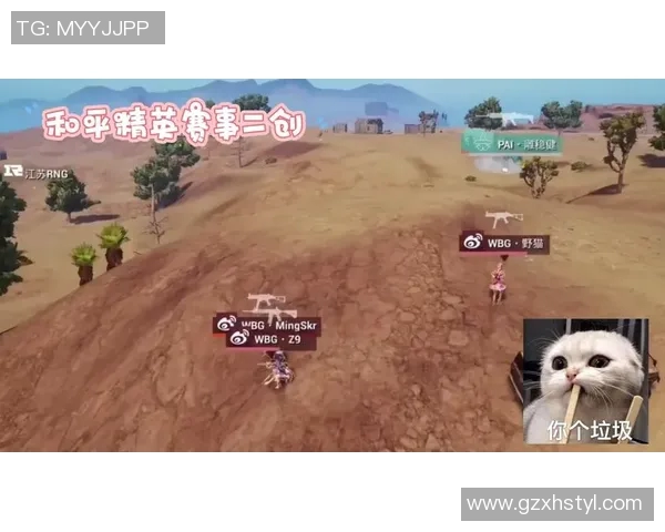 和平精英技术排名RNG创新高引发玩家热议与期待